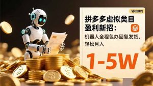 拼多多虚拟类目盈利新招：机器人全程包办回复发货，轻松月入 1-5W-LH资源分享网