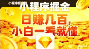 微信小程序掘金项目，日入几张，项目简单，小白一看就懂，5分钟就能学会上手操作【揭秘】-LH资源分享网