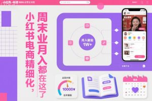 小红书电商精细化运营全流程,周末副业月入1W+,全套方法都在这了-LH资源分享网