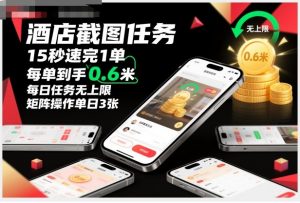 酒店截图任务，15秒速完1单，每单到手0.6米，每日任务无上限，全网首发玩法，矩阵操作单日3张【揭秘】-LH资源分享网