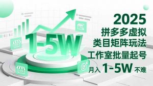2025 拼多多虚拟类目矩阵玩法，工作室批量起号，月入 1-5W 不难-LH资源分享网
