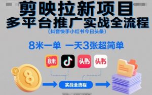 剪映拉新项目多平台推广实战全流程(抖音快手小红书今日头条)，8米一单，一天3张超简单-LH资源分享网