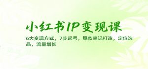 小红书IP变现课：6大变现方式，7步起号，爆款笔记打造，定位选品，流量增长-LH资源分享网