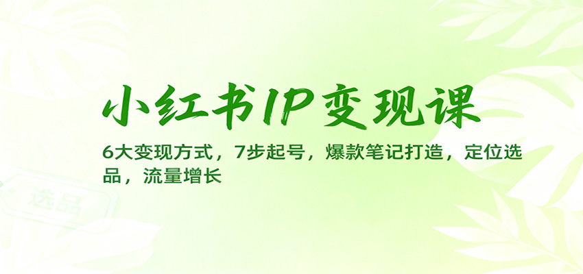 小红书IP变现课：6大变现方式，7步起号，爆款笔记打造，定位选品，流量增长-LH资源分享网