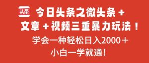 今日头条之微头条+文章+视频三重暴力玩法,学会一种轻松日入2000+,…-LH资源分享网