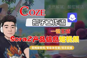 Coze扣子智能体工作流一键生成“SORA2产品信息“短视频，全流程保姆级教学-LH资源分享网