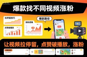 爆款找不同视频涨粉，让视频拉停留，实现点赞，破播放，涨粉-LH资源分享网