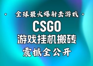 【年底大揭秘】基于全球最火爆的射击CSGO游戏挂G搬砖，日入5张+，震撼公开-LH资源分享网
