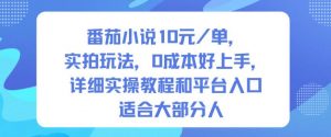 番茄小说10米每单,实拍玩法,0成本好上手,详细实操教程和平台入口适合大部分人-LH资源分享网