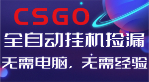 【副业好项目】全球火爆游戏CSGO自动捡漏，新手小白日入500+-LH资源分享网