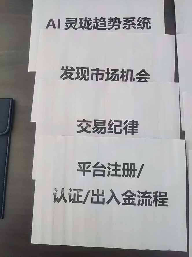 图片[3]-海外美金AI掘金项目，200U可入门槛，一天一单即可，每天1000-2000很轻松！-LH资源分享网