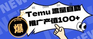 专注于Temu商家提供精准曝光浏览量，助力店铺排名提升和转化，单机日收入80-130【揭秘】-LH资源分享网