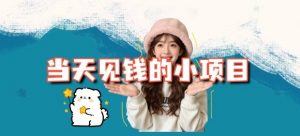 当天能收益的3个小项目拆解_包括平台+操作流程-LH资源分享网