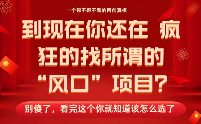 马上26年了，你还在找所谓的风口项目？别傻了，看完这个你全都懂了！【揭秘】-LH资源分享网