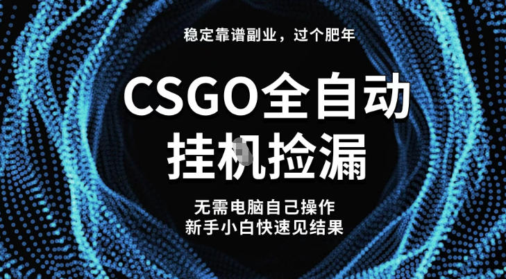 【稳定副业】全球最热门游戏CSGO全自动捡漏，最新玩法，新手小白日入5张+【揭秘】-LH资源分享网