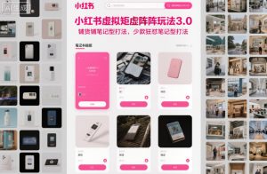 小红书虚拟矩阵玩法3.0，铺货铺笔记型打法，少款狂怼笔记型打法-LH资源分享网