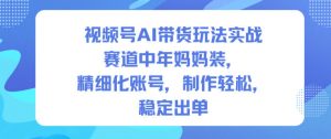 视频号AI带货玩法实战，赛道中年妈妈装，精细化账号，制作轻松，稳定出单-LH资源分享网