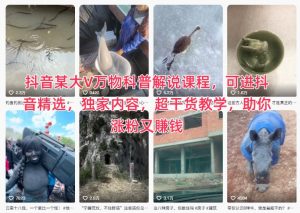 抖音某大V万物科普解说课程，可进抖音精选，独家内容，超干货教学，助你涨粉又賺钱-LH资源分享网