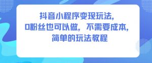抖音小程序变现玩法，0粉丝也可以做，不需要成本，简单的玩法教程-LH资源分享网
