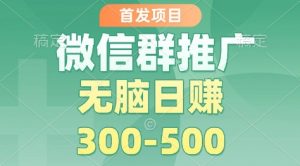 首发项目，微信群推广掘金，多号矩阵无脑日入3-5张【揭秘】-LH资源分享网