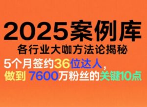 2025案例库,收录各行业大咖的方法论,各行业大咖方法论揭秘-LH资源分享网