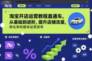 淘宝开店运营教程直通车,从基础到进阶,提升店铺流量,转化率和整体运营效率(更新11月)-LH资源分享网