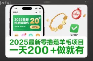 2025最新零撸薅羊毛项目,纯手机操作,20秒一单,无任何门槛,一天200+做就有【揭秘】-LH资源分享网