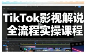 TikTok影视解说全流程实操，手把手教你打造TK爆款解说视频-LH资源分享网
