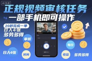 正规视频审核任务,一部手机即可操作,20秒完成一单,日入4张,多劳多得【揭秘】-LH资源分享网