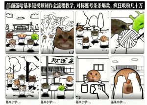 卤蛋哈基米短视频制作全流程教学，条条爆款，疯狂吸粉几十万-LH资源分享网