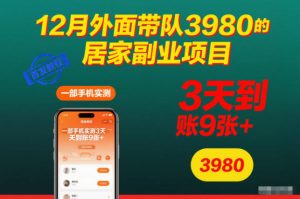 12月外面带队3980的居家副业项目，一部手机实测3天到账9张+，首发教程【揭秘】-LH资源分享网