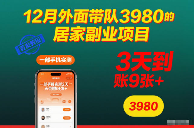 12月外面带队3980的居家副业项目，一部手机实测3天到账9张+，首发教程【揭秘】-LH资源分享网