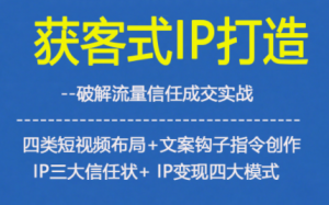 获客型IP打造,破解流量信任成,四类短视频布局+文案钩子指令创作IP三大信任状+IP变现四大模式-LH资源分享网