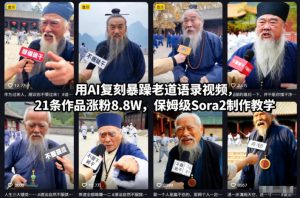 用AI复刻暴躁老道语录视频,21条作品涨粉8.8W,保姆级Sora2制作教学-LH资源分享网