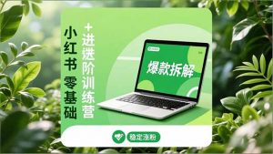 小红书零基础+高阶训练营:安全养号、爆款拆解、长效运营,实现稳定涨粉与变现-LH资源分享网