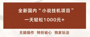 全新国内小说挂G项目，多窗口无脑跑，一天轻松1k+，特别省心【揭秘】-LH资源分享网