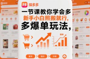 一节课教你学会拼多多爆单玩法，新手小白照搬就行-LH资源分享网