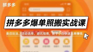 拼多多爆单照搬实战课，类目玩法、活动选择、避坑指南，新手小白快速出单赚钱-LH资源分享网
