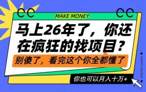 26年了，不要再疯狂的找项目了，看完这个你也可以月入十个W【揭秘】-LH资源分享网
