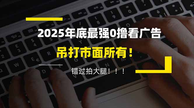 懒人福利！每天 20 分钟刷广告，动动手指轻松赚 100+，碎片时间就能做！-LH资源分享网
