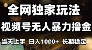 年底最新独家视频号无人直播撸礼物,小白也能轻松日入1k+,长期稳定,可批量复制【揭秘】-LH资源分享网