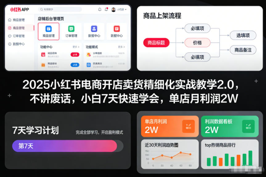 2025小红书电商开店卖货精细化实战教学2.0，不讲废话，小白7天快速学会，单店月利润2W-LH资源分享网