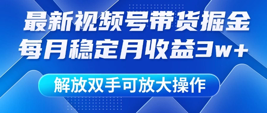 最新视频号带货掘金项目，每月稳定月收益3w+，解放双手，可放大操作-LH资源分享网