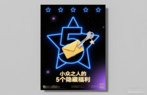 付费文章：小众之人的5个隐藏福利-LH资源分享网